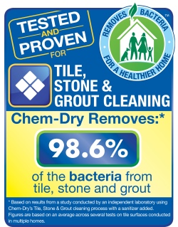 tile, stone, and grout cleaning by chem-dry removes 98.6% of bacteria statistics